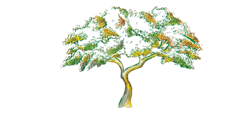 Jardin Nelson